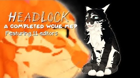 HEADLOCK|A completed WCUE MEP