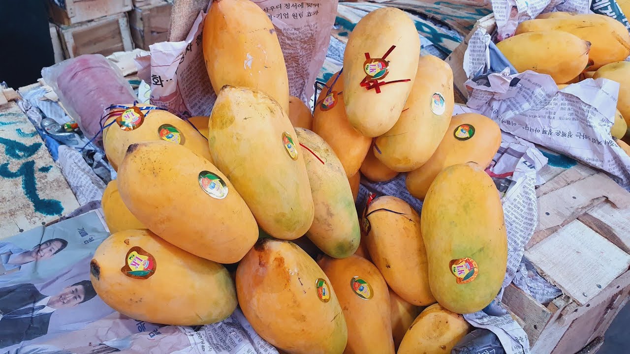 Export Quality Pakistani Mango | White chonsa, Anwar ratool Mango ...