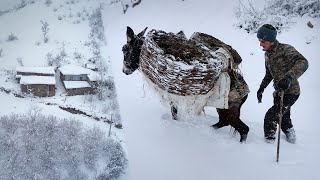 Life Under Heavy Snow | A Mother and Son’s Rural Routine in Northern Iran