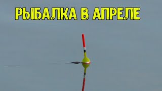 Рыбалка На Поплавок 7 Апреля 2024 . Открытие Сезона!