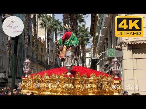 Real Cofradía de Nuestro Padre Jesús a su Entrada en Jerusalén y María Santísima del Amparo