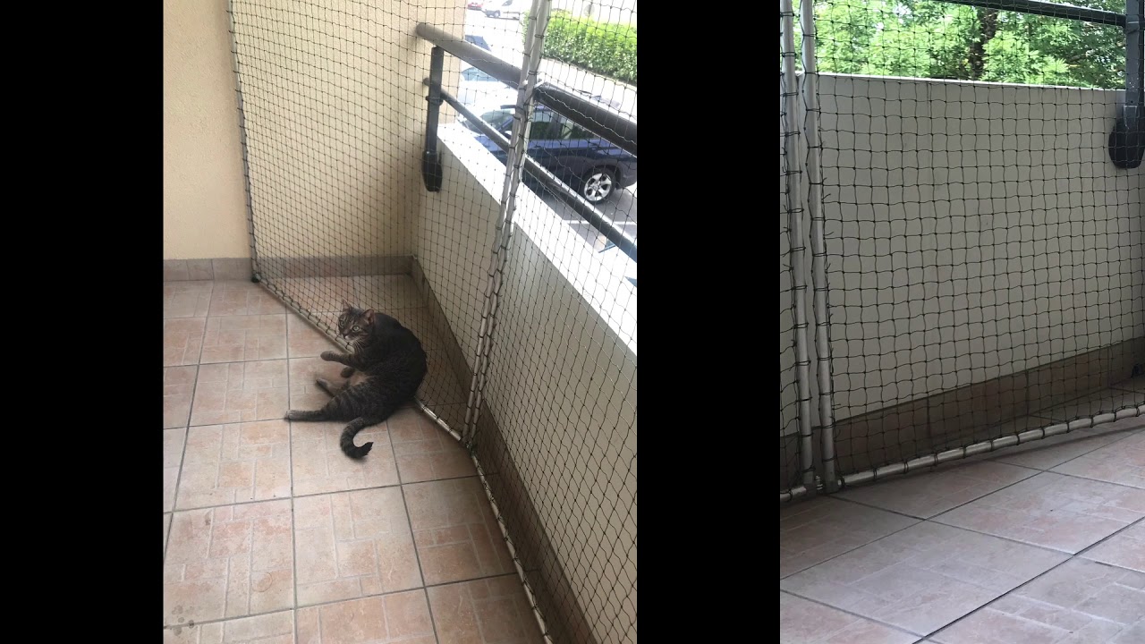 Filet de sécurité balcon pour chat