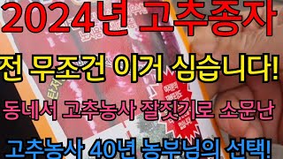 탄저병 없이 재미본 고추종자 공개! 2024년도 고추종자 전 무조건 이거심습니다! 고추농사 40년 농부님의 고추종자 잘 선택하는 꿀팁 !