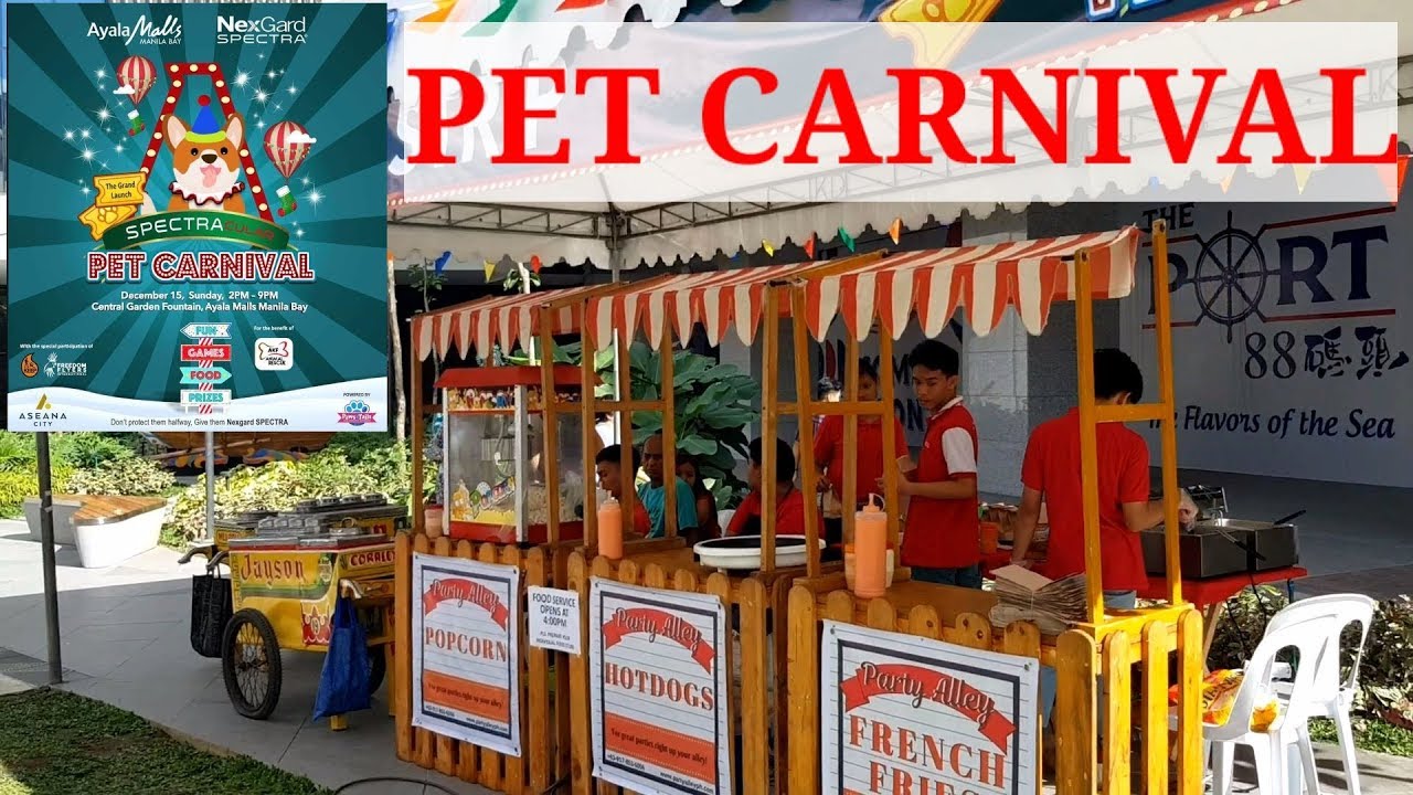 Spectracular Pet Carnival at Ayala Malls by the Bay YouTube