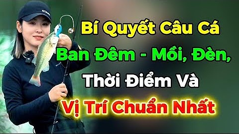 🎣 Bí Quyết Câu Cá Ban Đêm – Mồi, Đèn, Thời Điểm Và Vị Trí Chuẩn Nhất