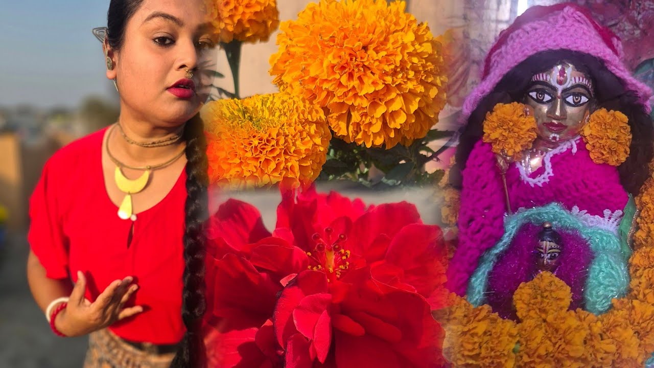 আমার বাড়িতে  কি গোবিন্দ সত্যি আমার বাড়িতে আছেন।। #lifestylevlog #bengalvlogger #moumi's রোজনামচা 