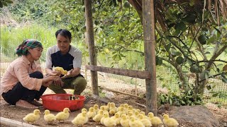 Pria berhati baik itu jatuh cinta pada ibu tunggal yang miskin dan memberinya hadiah kejutan.