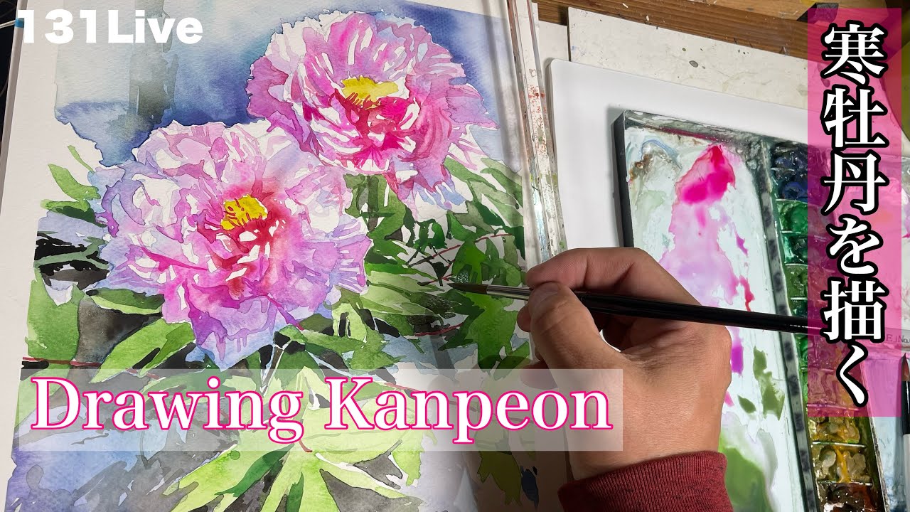 【131】寒牡丹を描く131 times Live Streaming/Drawing Kanpeon