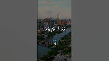 سورة نوح - ماهر المعيقلي
