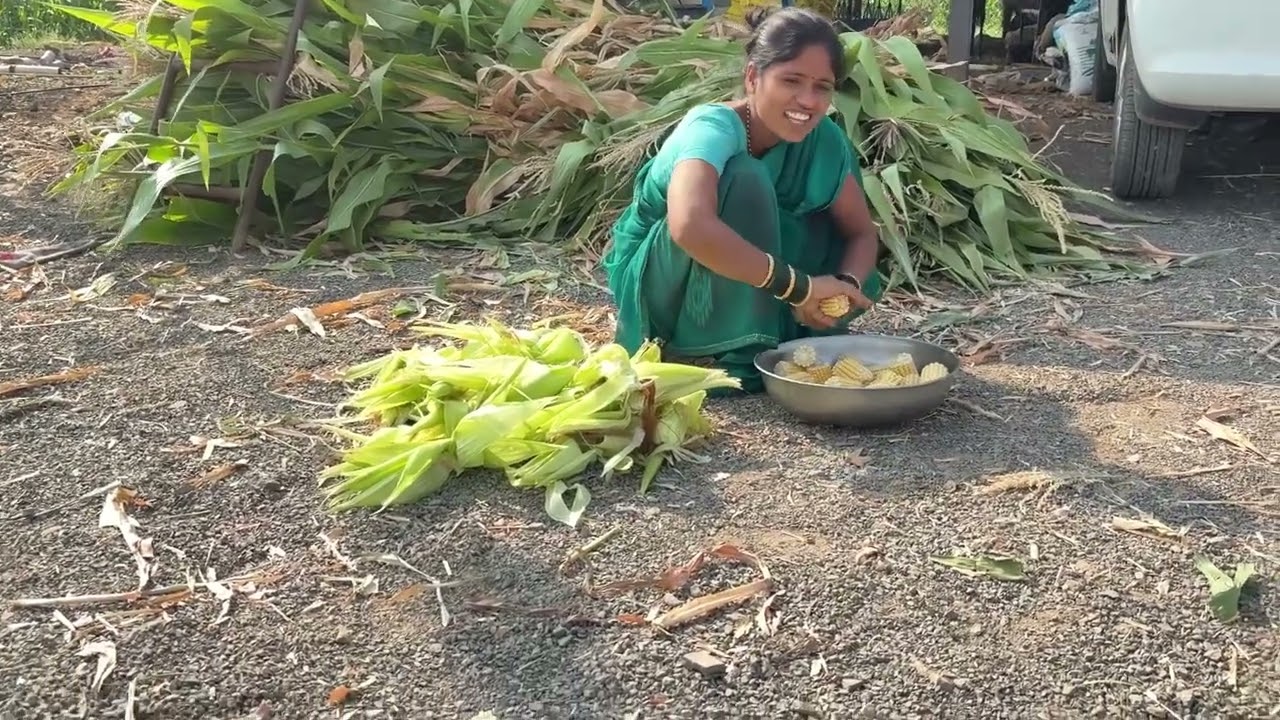 आज बघा मकच्या कणसाची पार्टी हाय ।नवऱ्याला माझ्या कणसं खायचं लय याड हाय बघा ❤️