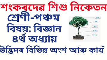 Sankardev Sishu niketan Class 5 General Science lesson no.4 in assamese