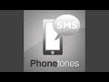 Simple professional alert tone blast  sms sound  ringtone  short and minimalist