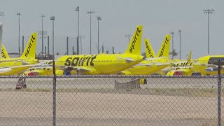 What to do if you had flights booked on Spirit Airlines