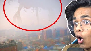 Mysterious Creatures Caught on Camera