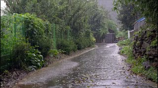 비오는 시골길 불면증과 숙면을 위한 편안한 빗소리 ASMR 폭우 백색소음