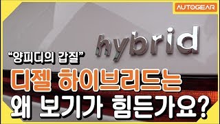 [양피디 갑질] 디젤 하이브리드는 왜 보기가 힘든가요?