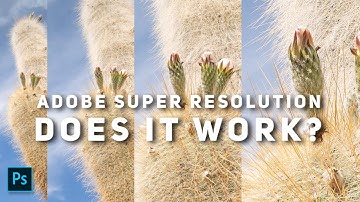 Super Resolution in Adobe Camera RAW - Does it Work?