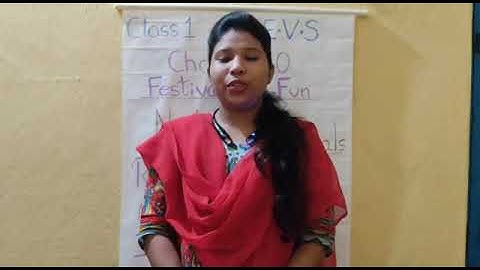 18/11/20 STD 1 EVS  Chapter 10 Festivals are fun (Part 2)