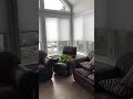 Hunter Douglas Applause Cellular Shades with Powerview Motorization
