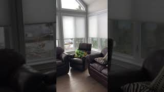 Hunter Douglas Applause Cellular Shades with Powerview Motorization