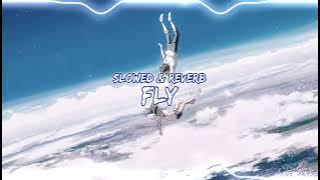 Fransis Derelle - Fly (feat. Parker Pohill) [NCS RELEASE] Slowed & Reverb