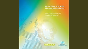 String Quartet No. 2 in A Minor, Op. 13: I. Adagio – Allegro vivace