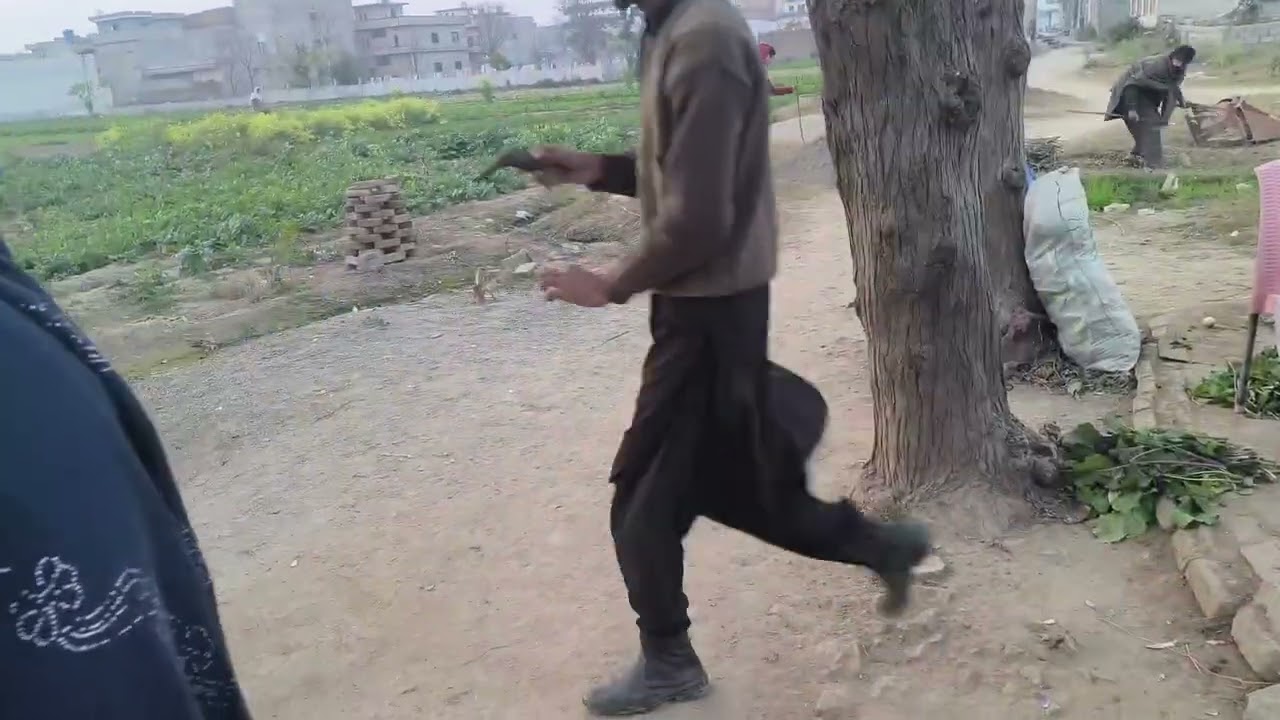 Aj ham saag la na gi