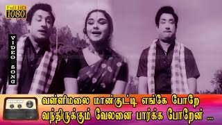 வள்ளிமலை மான்குட்டி எங்கே போறே பாடல் HD | சிவாஜி கணேசன், சரோஜா தேவி இனிமையான காதல் பாடல் .