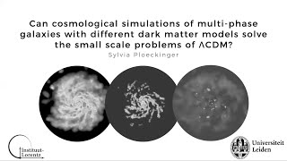Can simulations with different dark matter models solve the problems of ΛCDM by Sylvia Ploeckinger