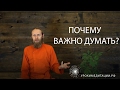 Почему важно думать?