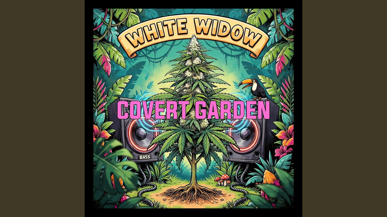 Watch White Widow on YouTube Watch White Widow on YouTube