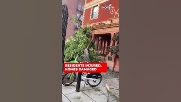 Shorts | High Winds Topple Trees Causing Widespread Damage And Displacements | English News | News18