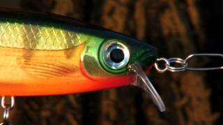 Video: Gelenkig Rapala BX Schwimmer Drowned