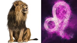 This Is Exactly Why I HATE The Zodiac Sign LEO: My Experience With Leo Men and Leo Women [Lamarr] Net Worth