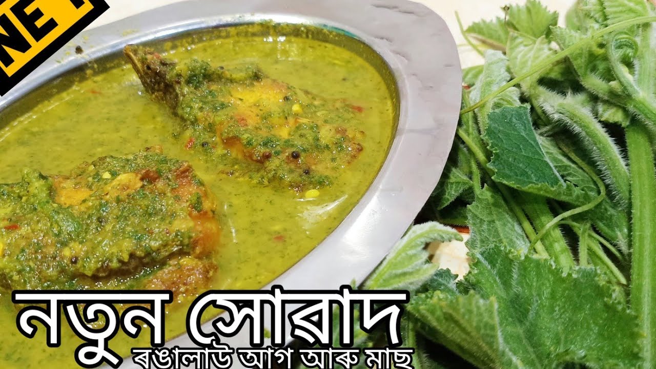 ৰঙালাউ আগ আৰু মাছ, সকলোৱে খাই ভাল পোৱা ৰেচিপি || Pumpkin leaf with fish curry || Assamese recipe