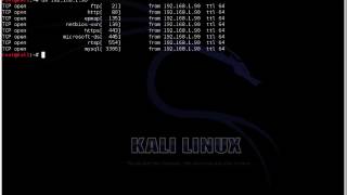 Target port scanning using Unicornscan