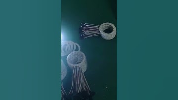 Ring Neopixel RGB Lighting - Smart Bright LEDs