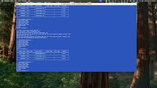 CLI to UI - Nile Guest APIs