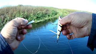 Здесь рыбы нет   Кто это сказал   Хозяин водоема