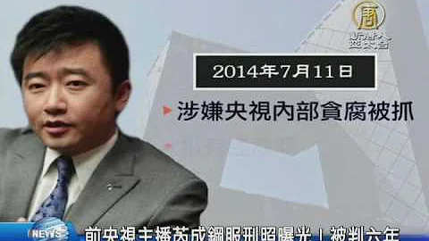 【新唐人/NTD】前央视主播芮成钢服刑照曝光！被判六年｜芮成钢｜央视｜李勇｜谷丽萍｜薄瓜瓜 - 天天要闻
