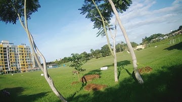 Fly to protect your soul. (wizard x220s)