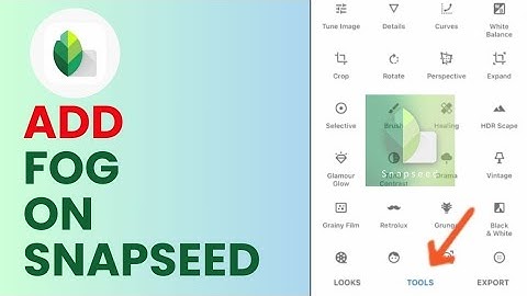 How to Add Fog in Snapseed 2024?