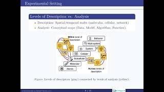 Connecting levels of analysis in the: Evidence from Analysis Computational Era