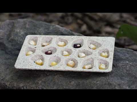 SEAD - Biodegradable heirloom seed pods