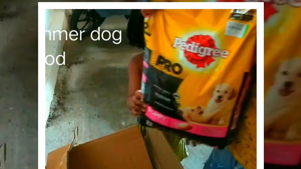 Dog food unboxing with children exciting Rottweiler for food������������ - YouTube