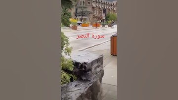 #إذا جاء نصر الله والفتح ورأيت الناس يدخلون في دين الله أفواجا_سورة النصر#Gamal Belkan