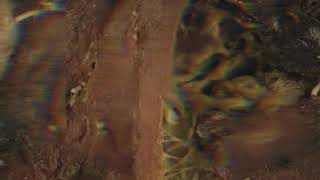 ANTIGEIST - DECAY [OFFICIAL MUSIC VIDEO]
