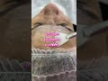 Лифтинг кожи. Пилинг. Кожа подтянутая и упругая