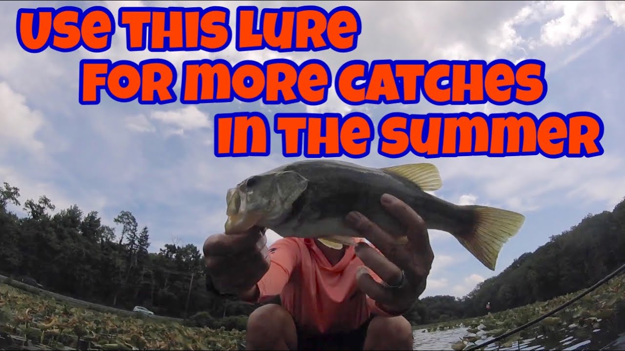 Summer Bass Fishing: Plastic Lures They Can't Ignore