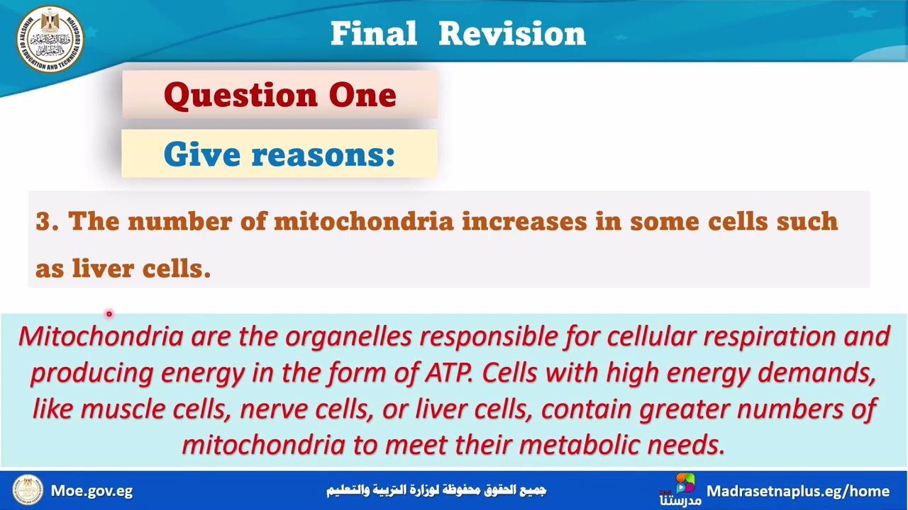Science prep 2 Final Revision Part 2_first term   2025_2026